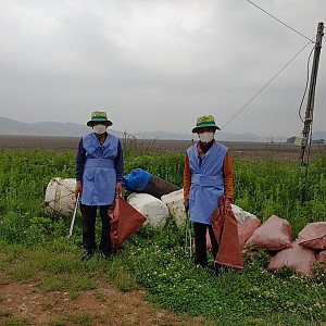 공공장소 및 공원관리(근흥면)