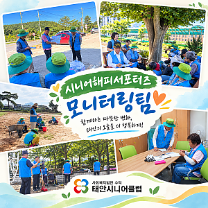 시니어해피서포터즈 모니터링팀
